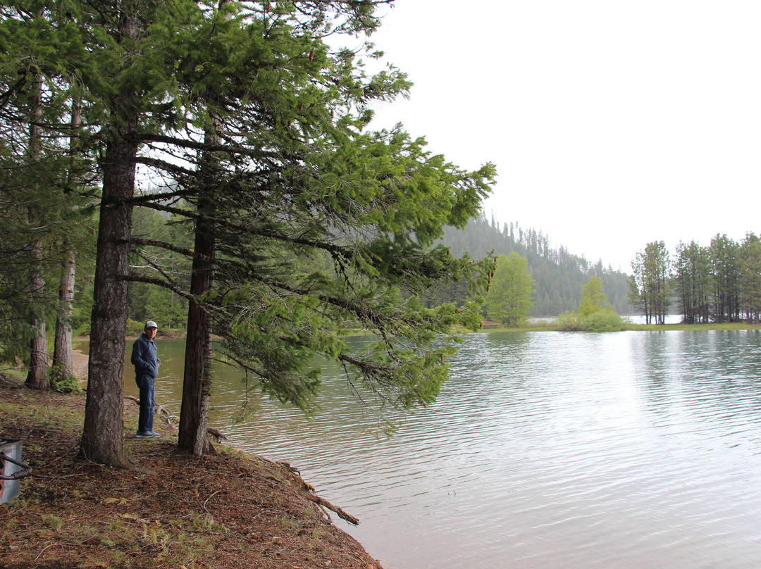 The Bidwell House B&B Inn主图