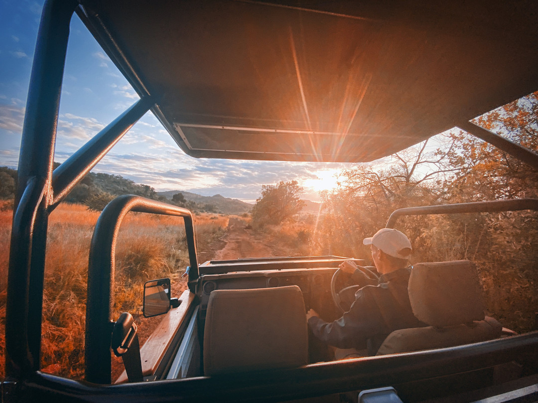 Mbazo Safari Lodge