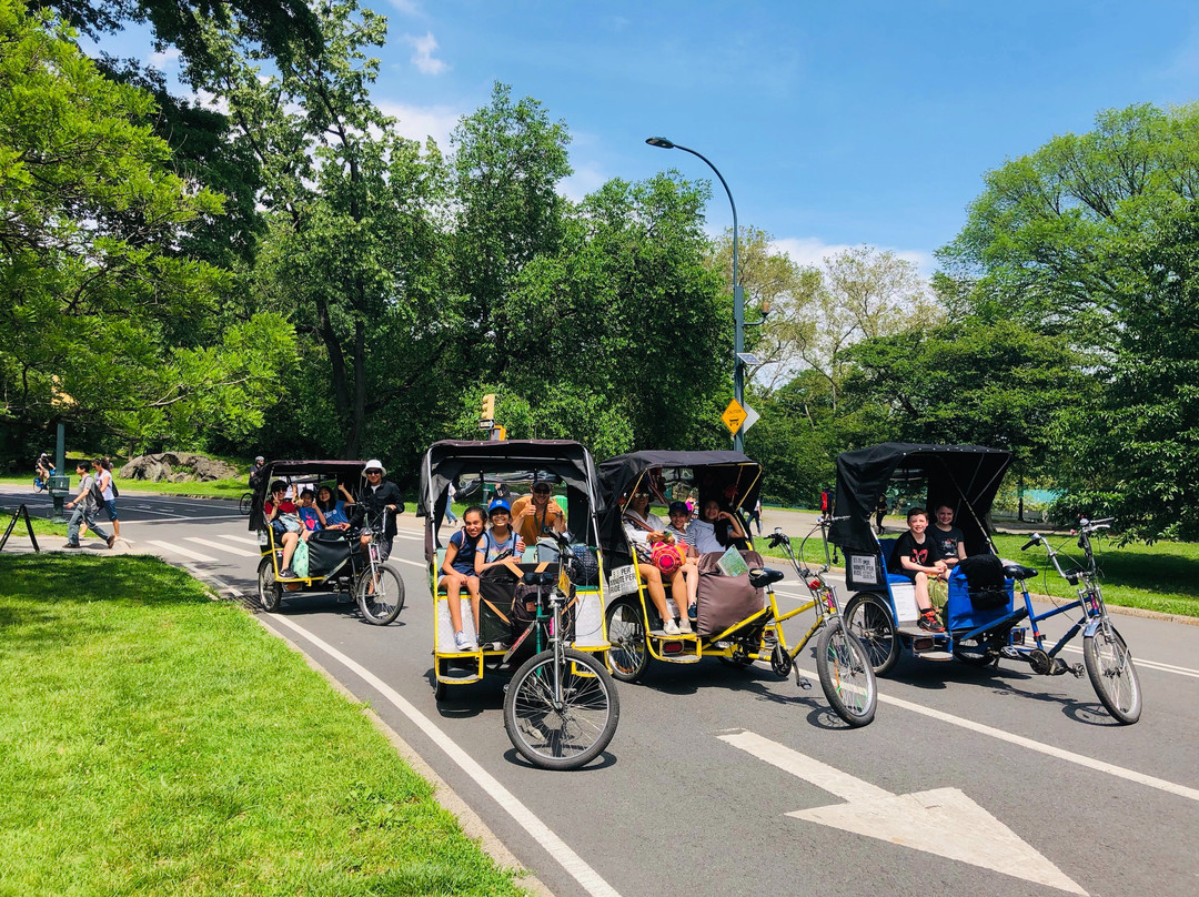 All Around Central Park Pedicab Tours景点图片