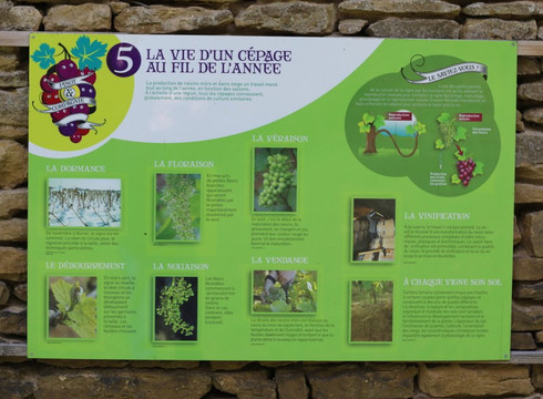 Château Pontus de Tyard-Germagny必去景点