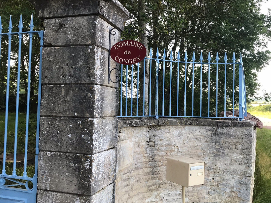 Domaine de Congey主图