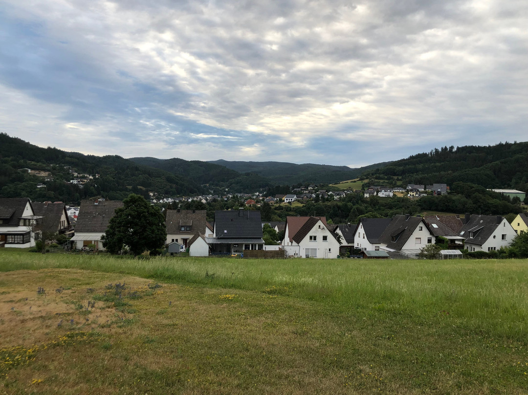 施奈霍夫兰德豪斯酒店主图