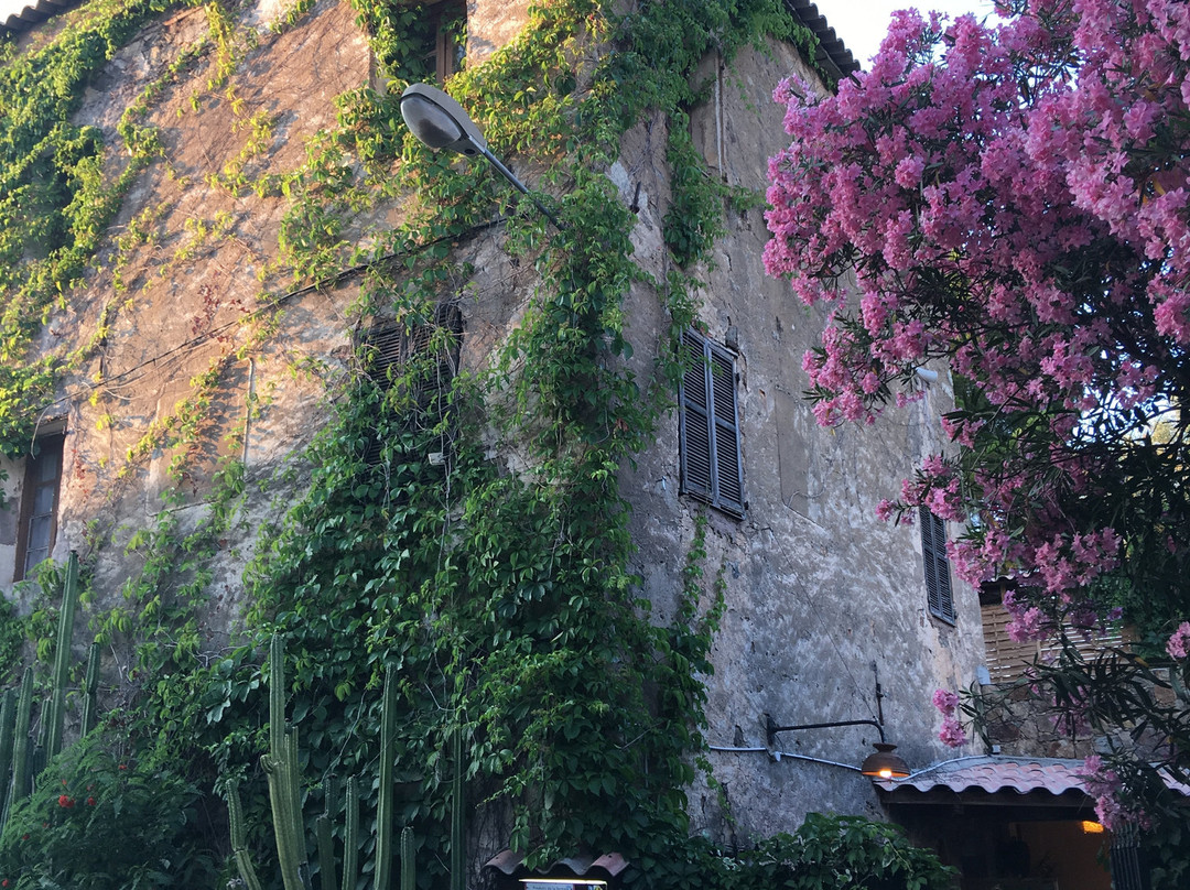 B&B Pietra-Monetta