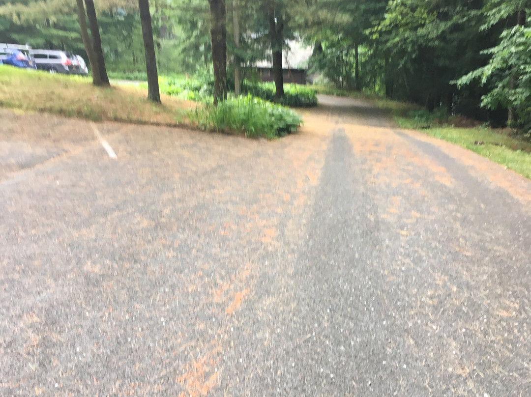 The Lodges At Bolton Landing主图