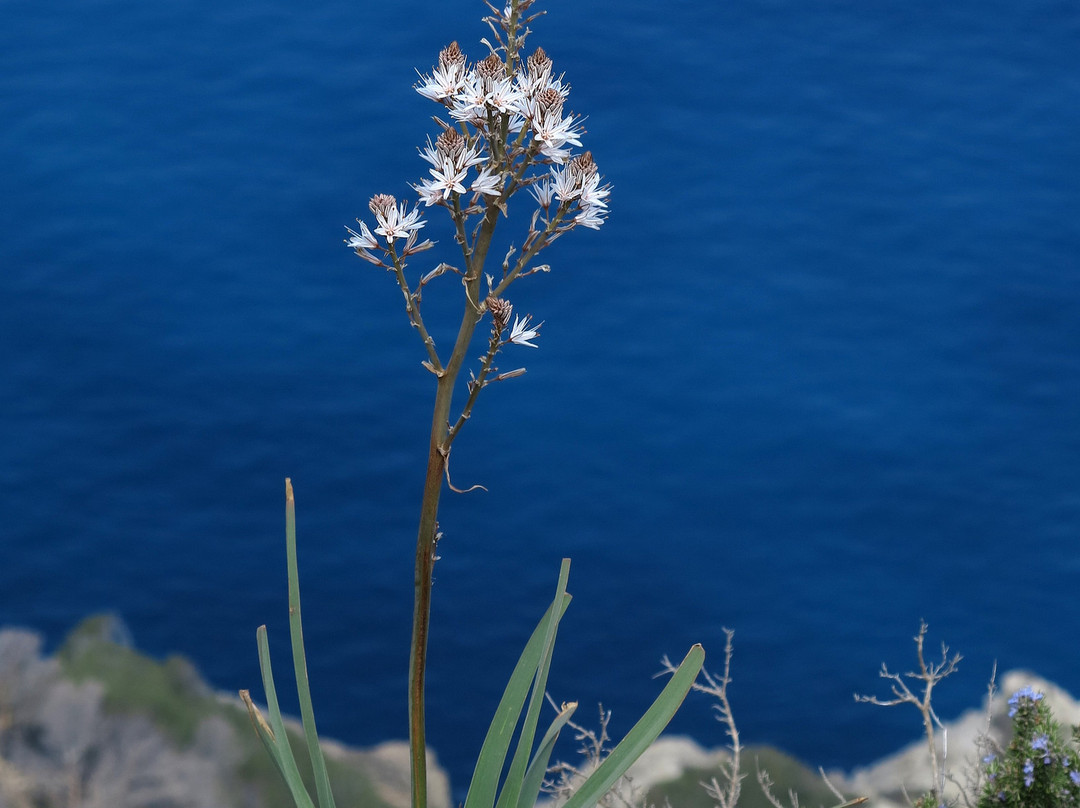 MA-10-Sol de Mallorca必去景点