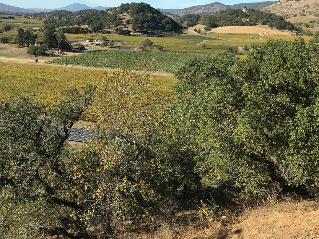 Silverado Vineyards-纳帕必去景点