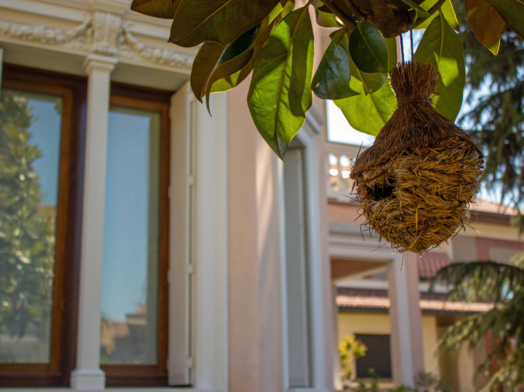 B&B Villa Le Rondini主图