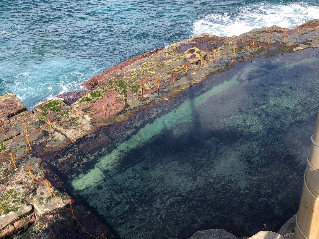 King Edward Park-纽卡斯尔必去景点