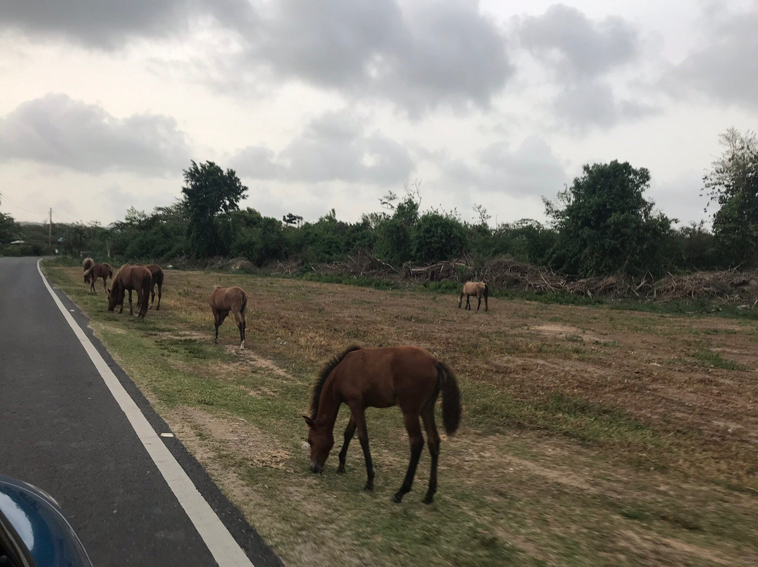代凯西宾馆主图