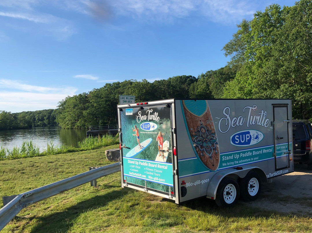 Sea Turtle SUP-Coventry必去景点