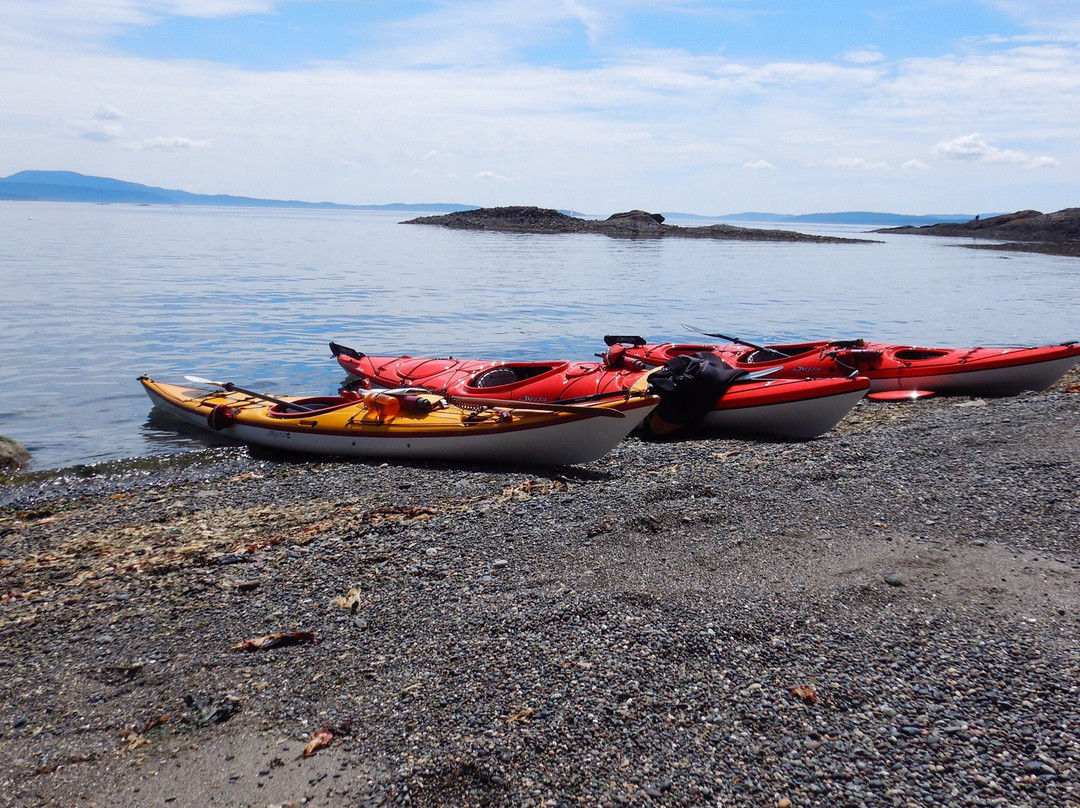 Pender Island Kayak Adventures景点图片