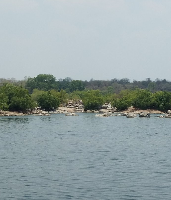 Orchha Wildlife Sanctuary景点图片