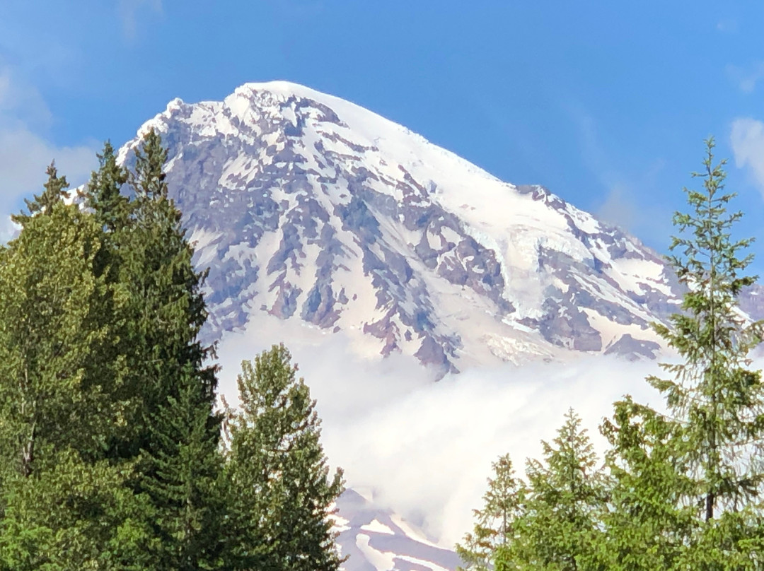 Nature Nuts Adventure Travel-西雅图必去景点