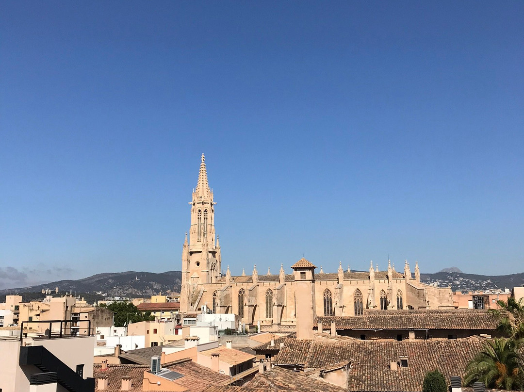 Hotel Basilica主图