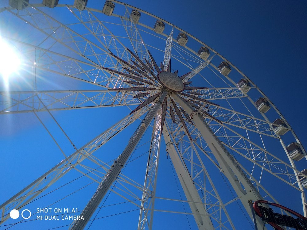 The Wheel of Rimini景点图片