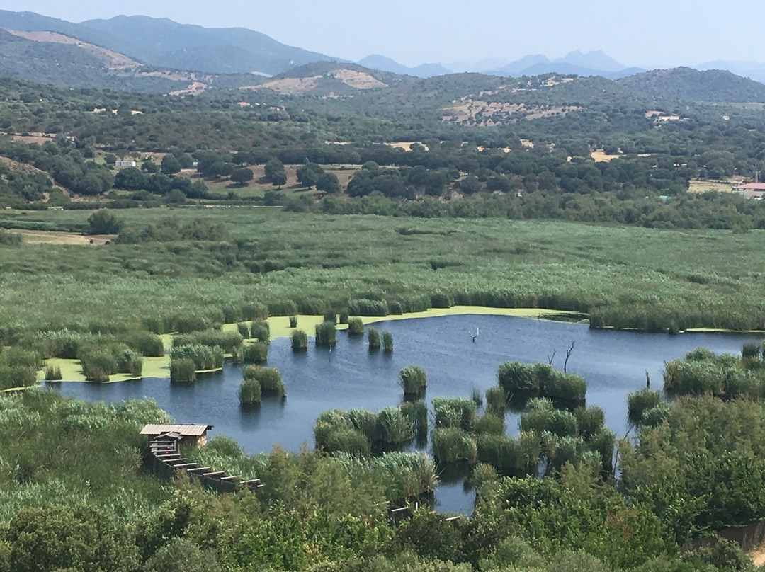 Etang de Tanchiccia-Serra-di-Ferro必去景点