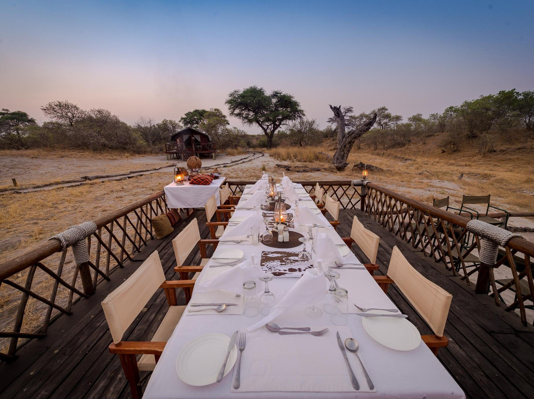 Enzuri Safari Co.-达拉斯必去景点