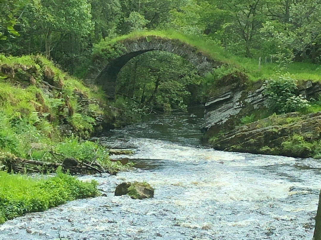 Speyside Whisky Tours-Glenlivet必去景点