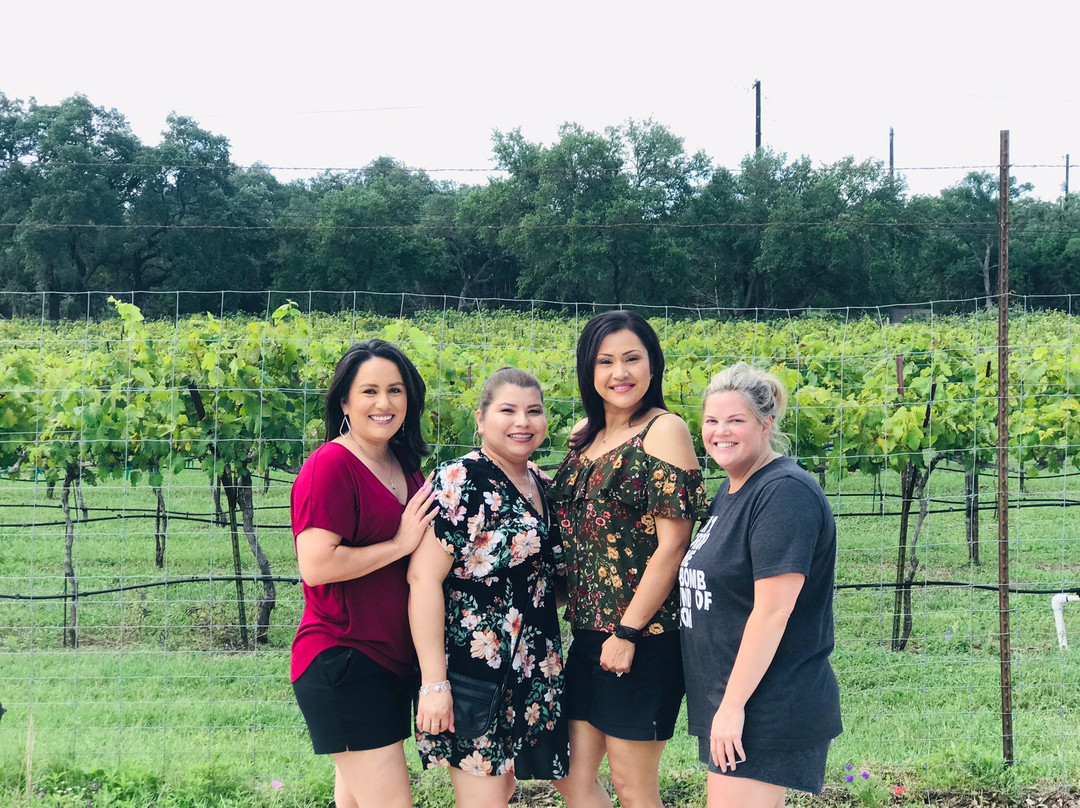 Dry Comal Creek Vineyards-新布朗费尔斯必去景点