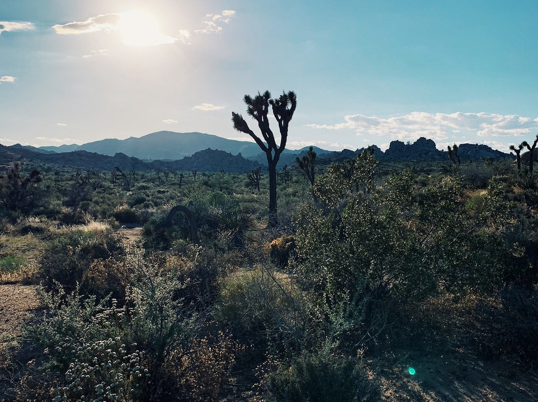 Boulder Gardens Sanctuary-Pioneertown必去景点