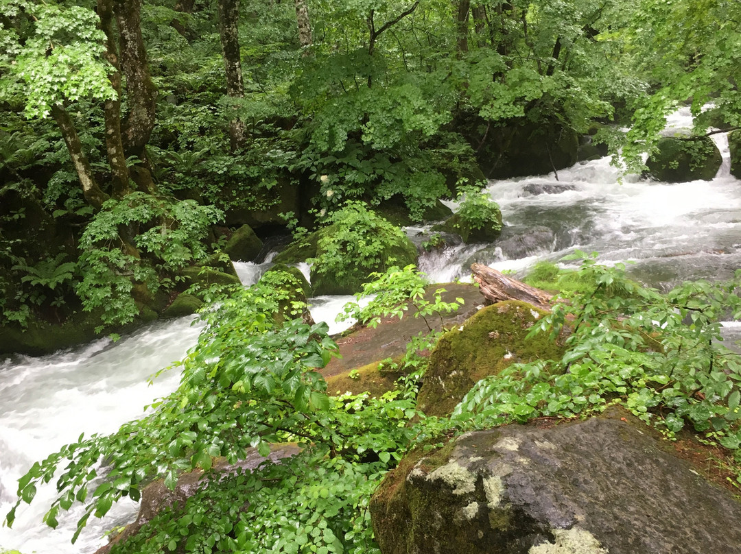奥入濑溪-十和田市必去景点