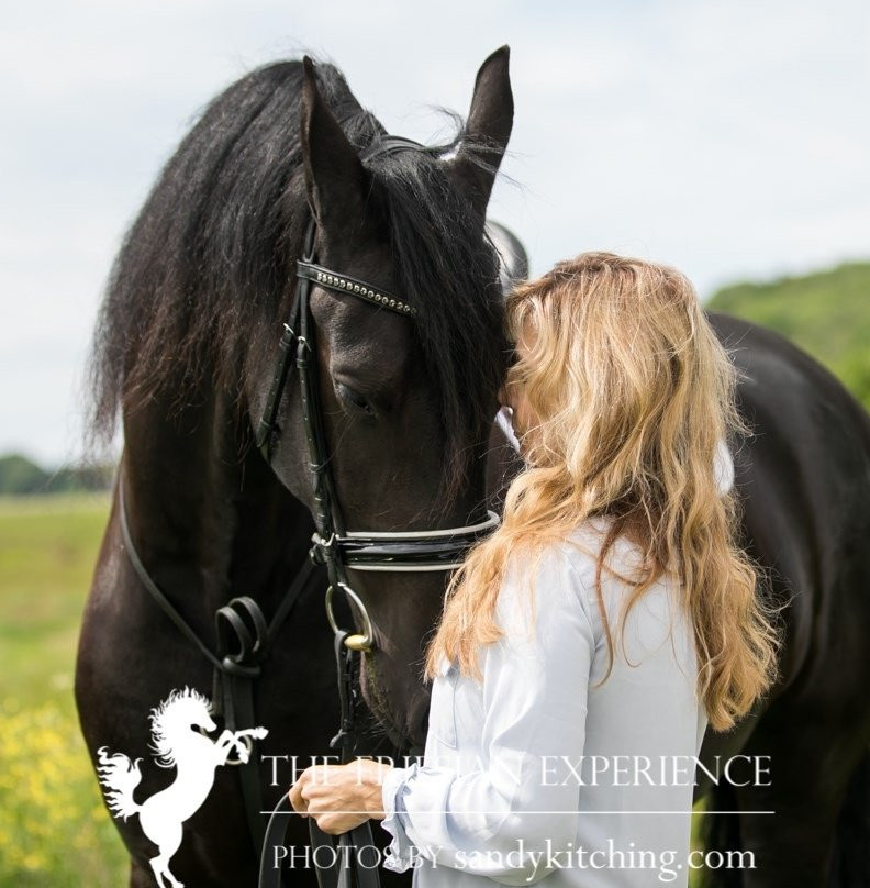 The Friesian Experience景点图片