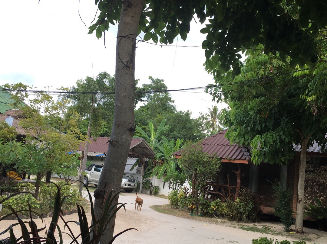 V-View Beach Resort主图