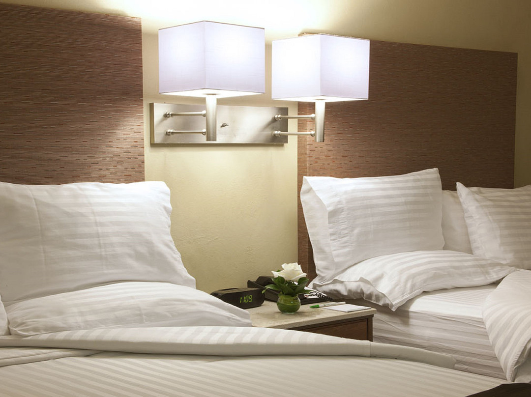 Holiday Inn Orizaba by IHG主图