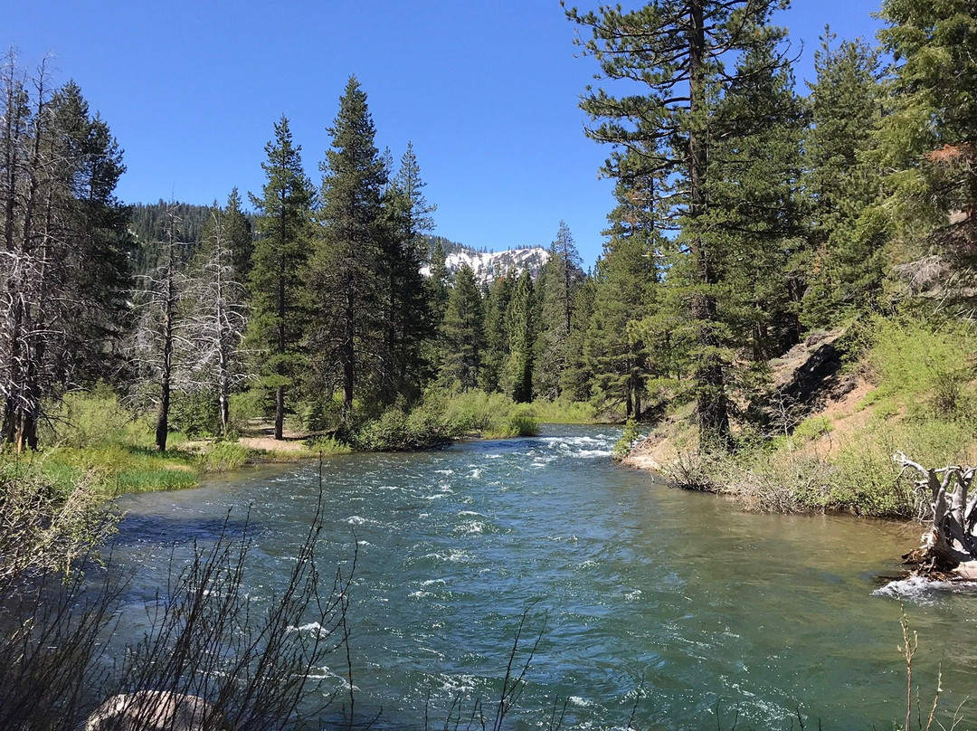Truckee River Bike Trail景点图片