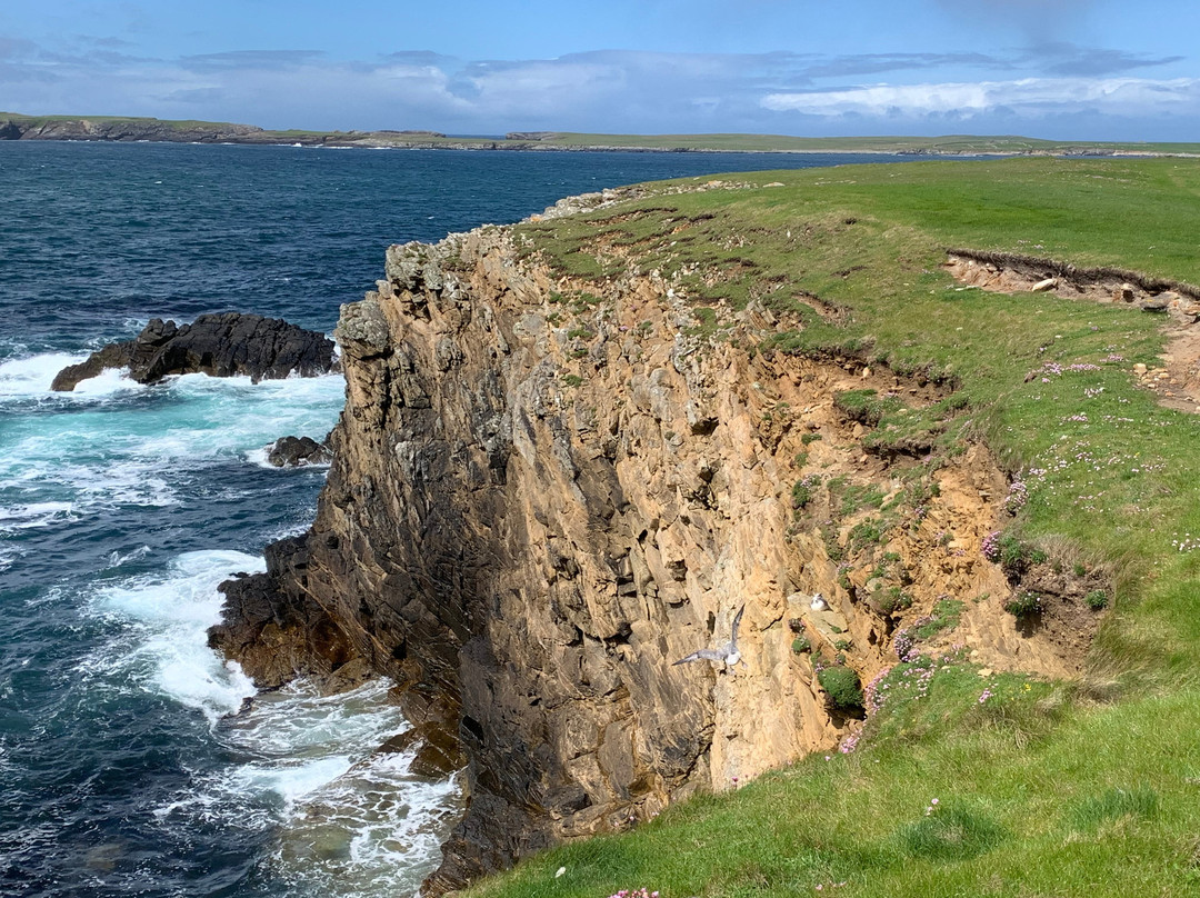 Sumburgh Head Lighthouse景点图片