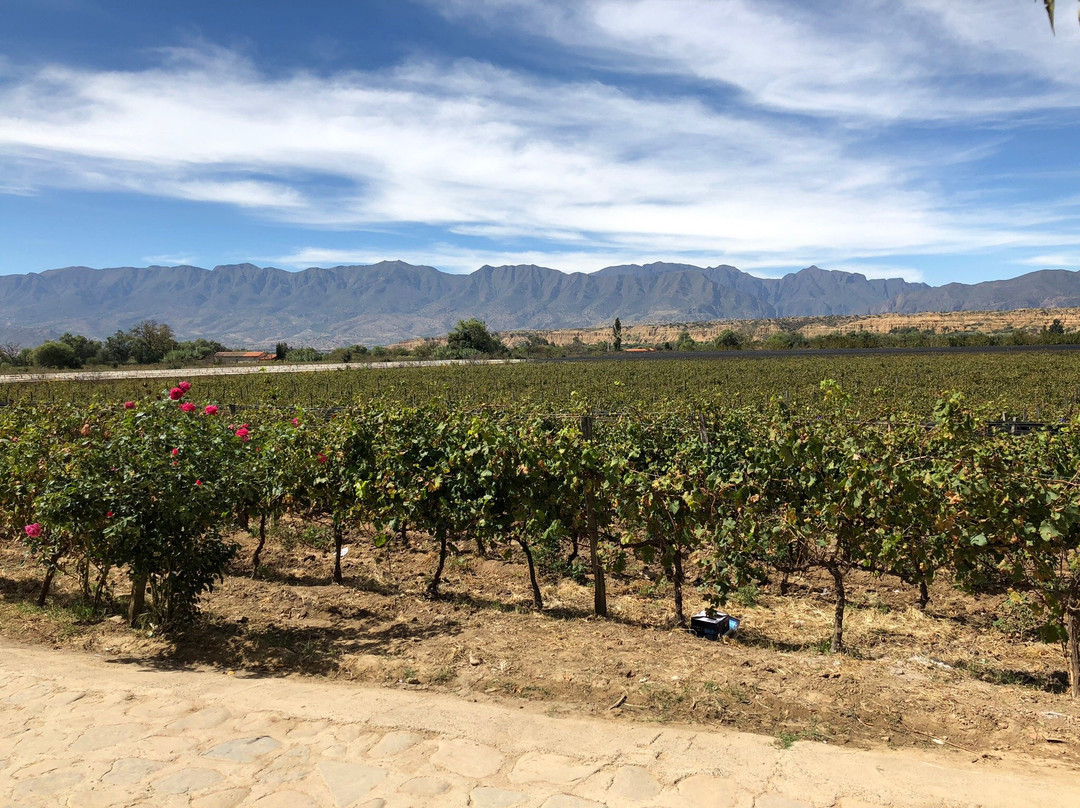 La Casa Vieja-塔里哈必去景点