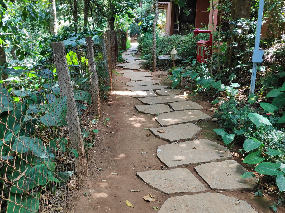 Club Mahindra Madikeri, Coorg主图