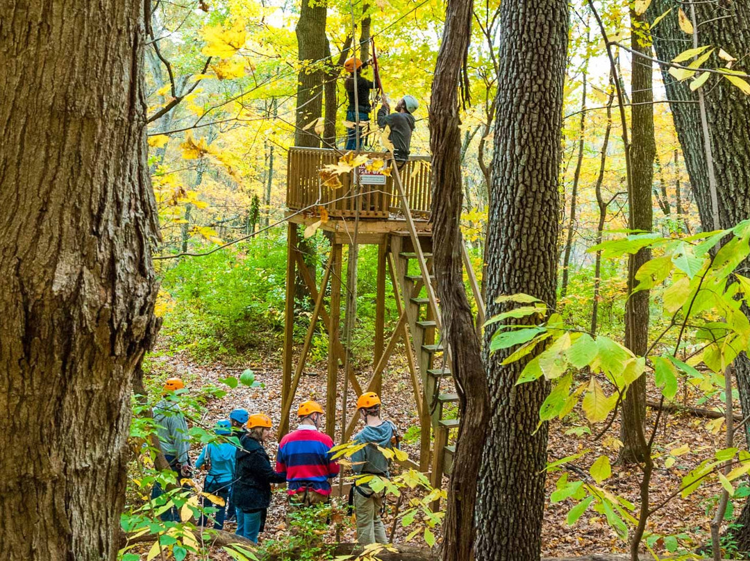 Adventureworks Zipline Forest at Fontanel景点图片
