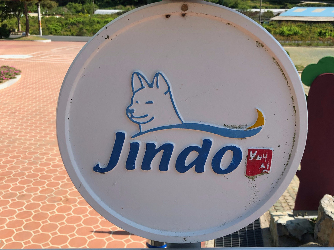 Jindo Dog Theme Park-珍岛郡必去景点