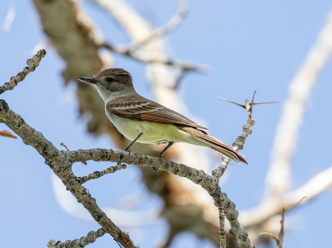 2023年12月Scott Matheson Wetlands Preserve景点攻略Scott Matheson Wetlands