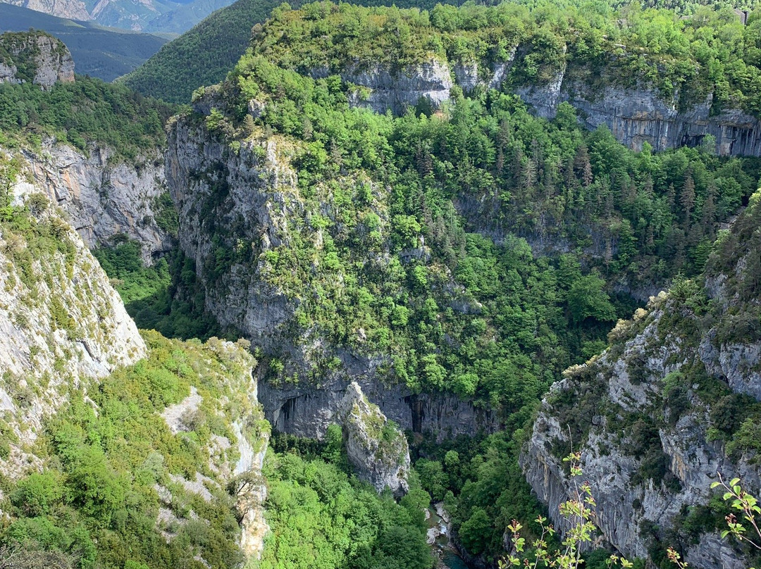 O Chardinet d'a Formiga主图