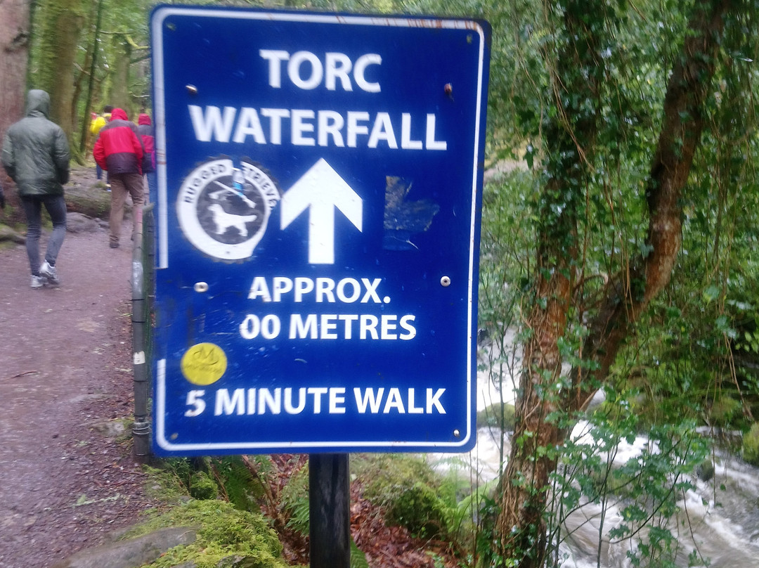 Torc Waterfall-基拉尼必去景点