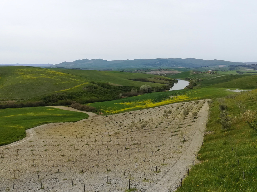 Diacceroni Agriturismo Biologico主图