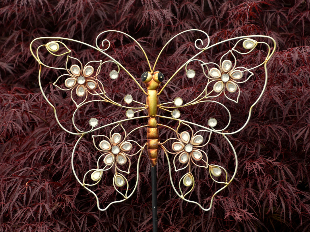 Adelman Peony Gardens-塞勒姆必去景点