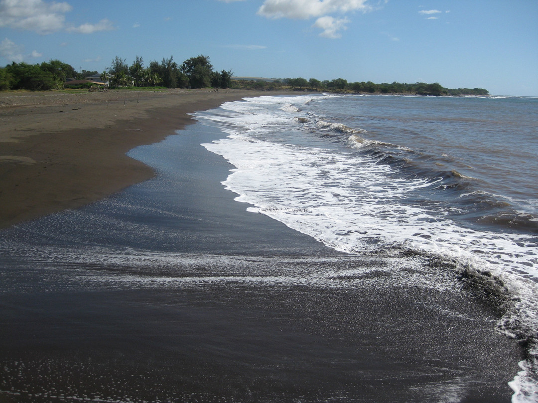 Waimea Pier-可爱岛必去景点