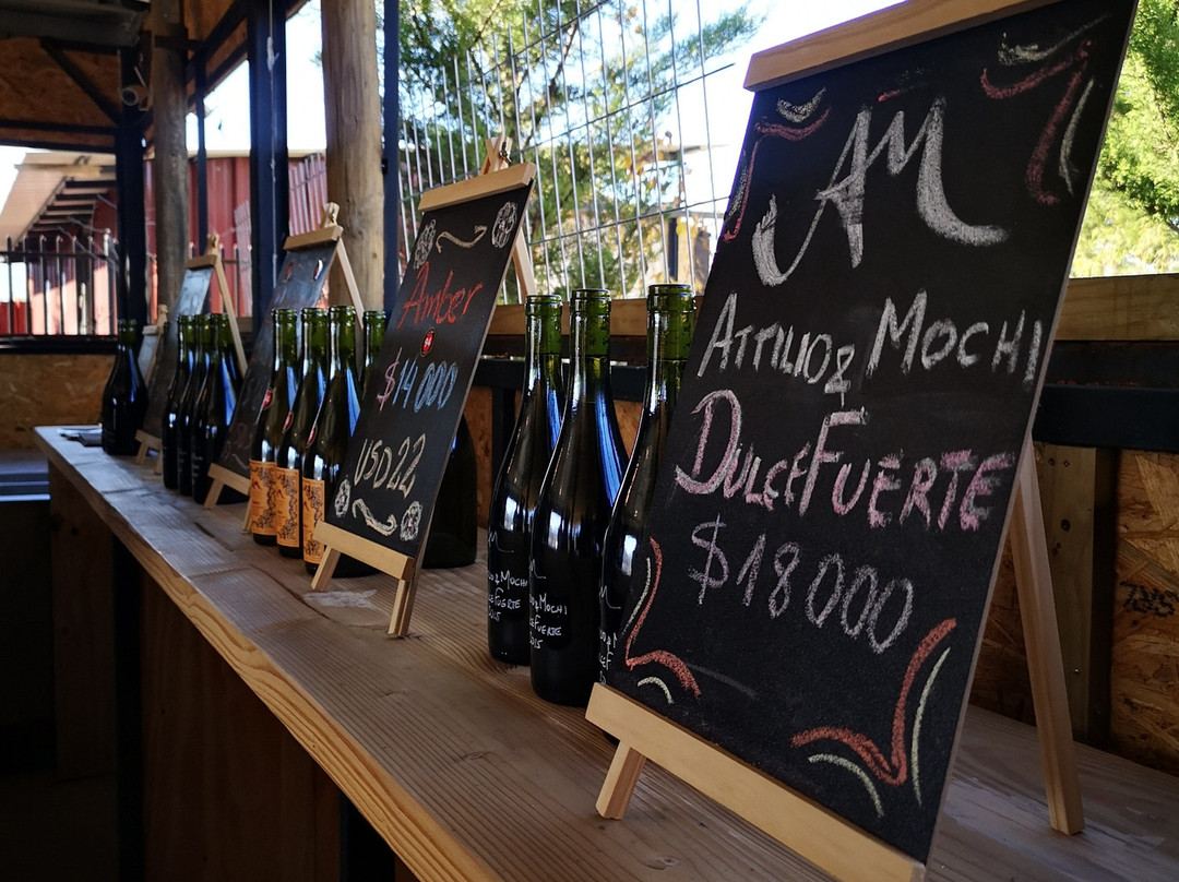 Attilio & Mochi - Passionate Winemakers-卡萨布兰卡必去景点