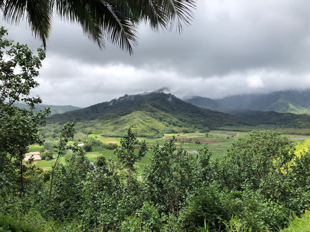 Hanalei National Wildlife Refuge-哈纳雷伊必去景点