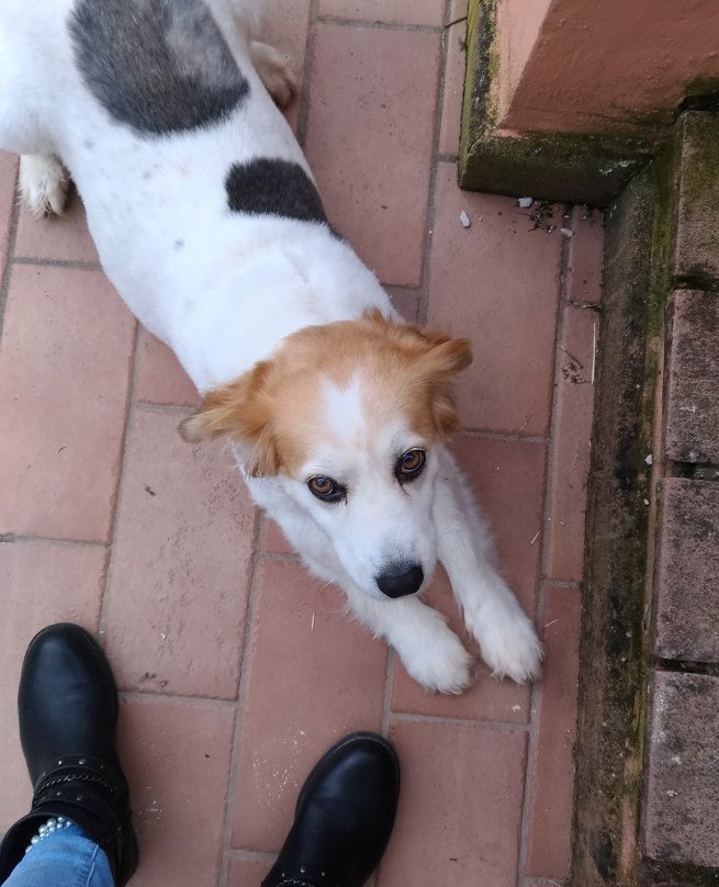 Bed & Breakfast San Marco主图