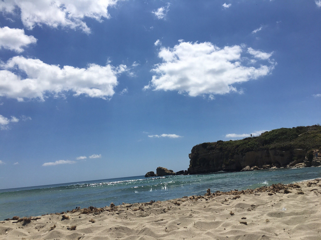 Lido Camomilla