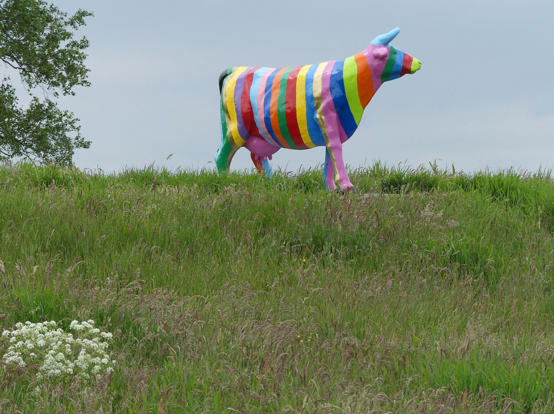 Boerderijrecreatie景点图片