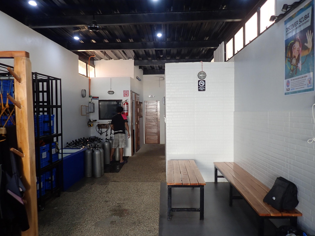 Amigos Dive Centre-莫阿尔博阿尔必去景点