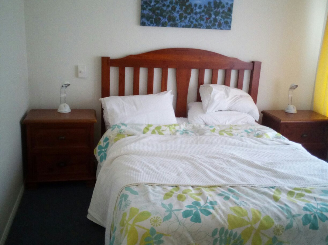 Dolphin Waters主图