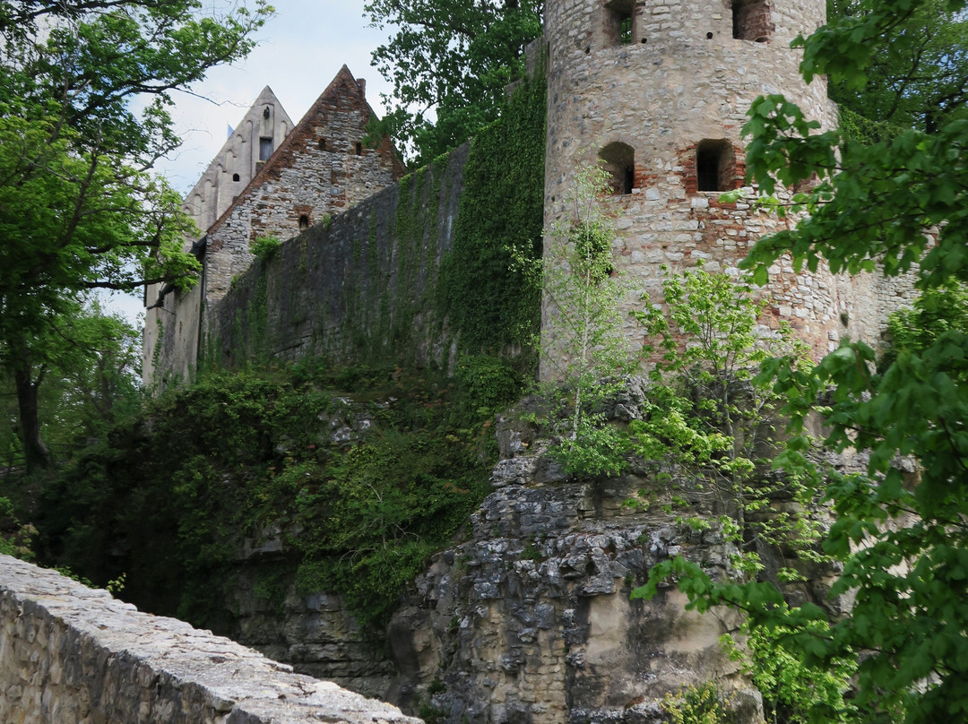 Burg Pappenheim景点图片