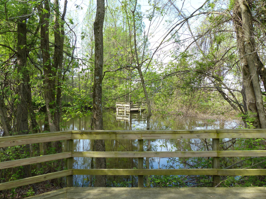 Wesselman Woods Nature Center-埃文斯维尔必去景点