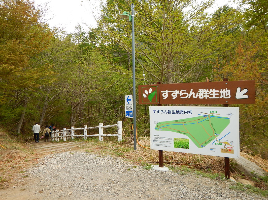 Ahikwacho Colony of a Lily of the Valley景点图片